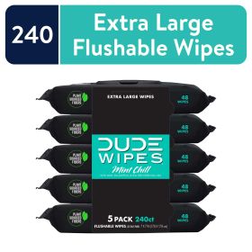 DUDE Wipes Flushable Wipes, XL Wet Wipes for At Home Use, Mint Chill, 48 Count, 5 Pack (Brand: DUDE)